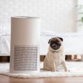 All You Need to Know About Air Purifiers and Cleaners