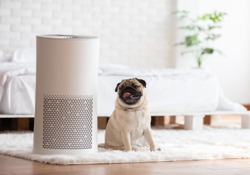 All You Need to Know About Air Purifiers and Cleaners